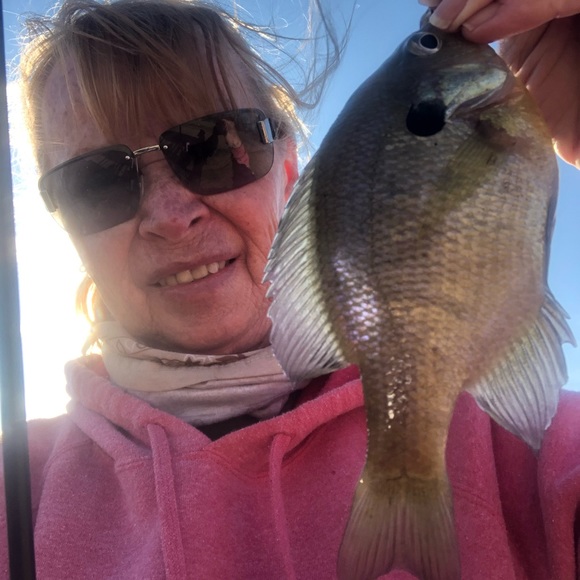 Meet your Posher, Eva - Picture 1 of 1